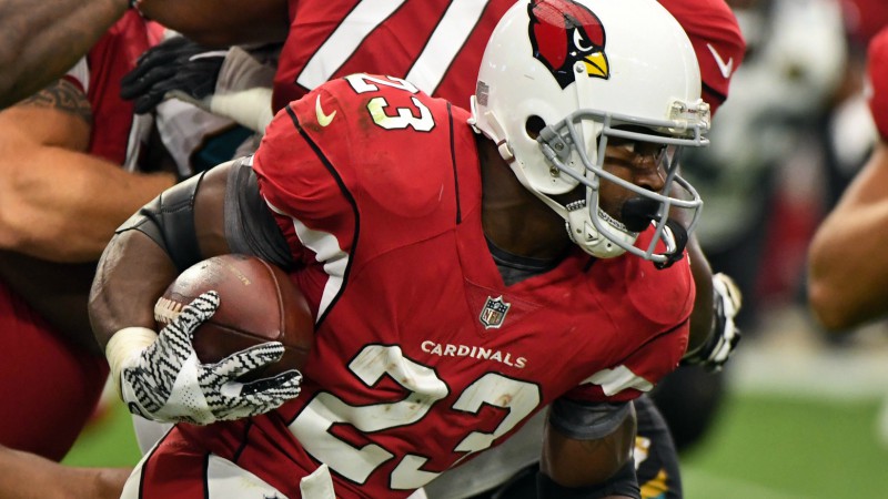 Arizona Cardinals running back Adrian Peterson