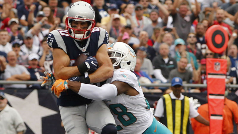 New England Patriots wide receiver Danny Amendola