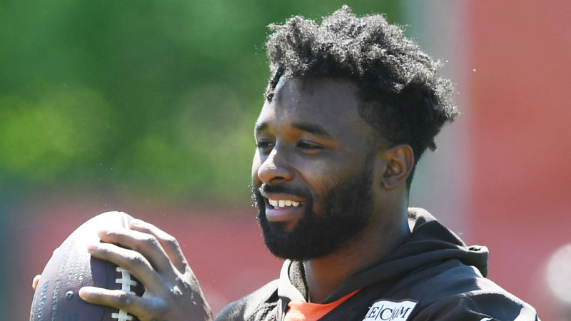 Cleveland Browns wide receiver Jarvis Landry