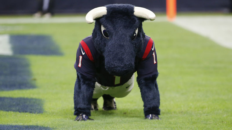 Houston Texans mascot