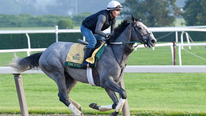 Belmont Stakes Horse Tacitus
