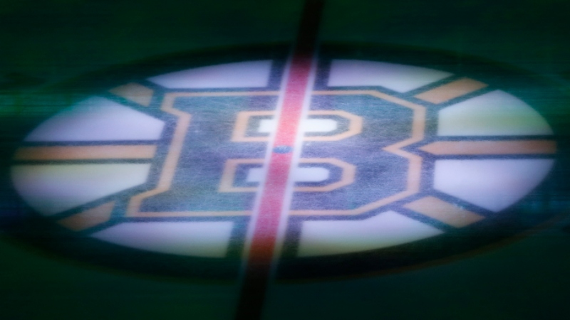 The Boston Bruins logo