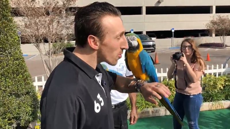 Boston Bruins winger Brad Marchand