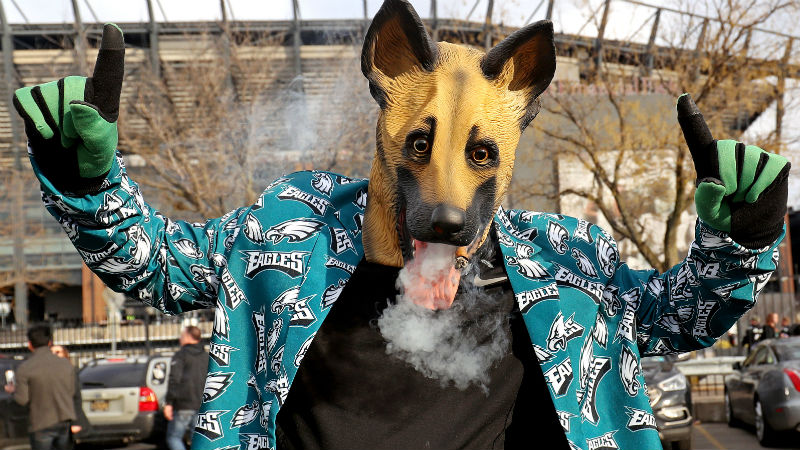 Philadelphia Eagles fan