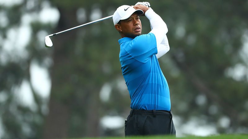 PGA golfer Tiger Woods