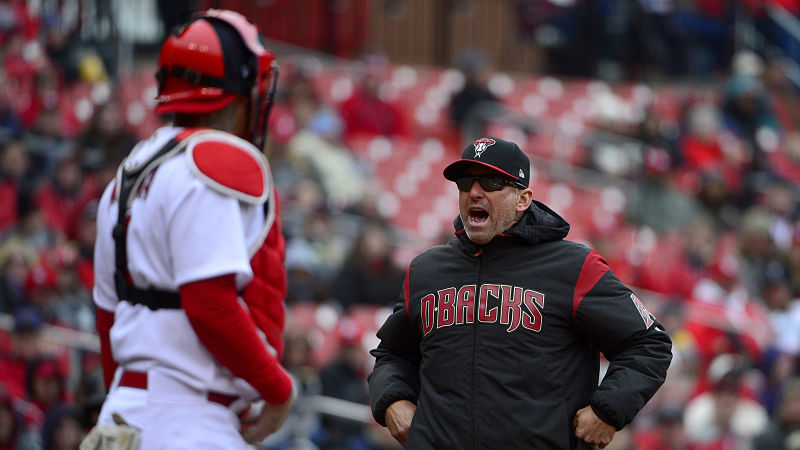 St. Louis Cardinals catcher Yadier Molina and Arizona Diamondbacks manager Torey Lovullo