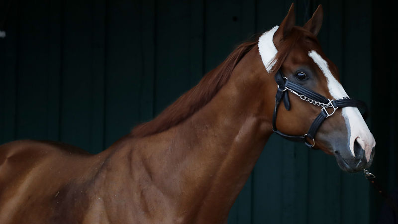 Kentucky Derby winner Justify