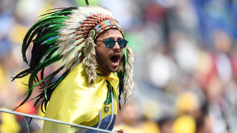 Brazil soccer fan