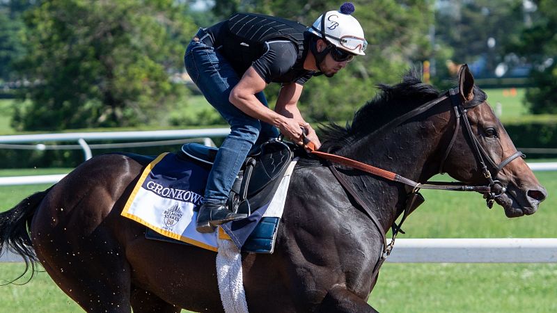 Gronkowski the horse