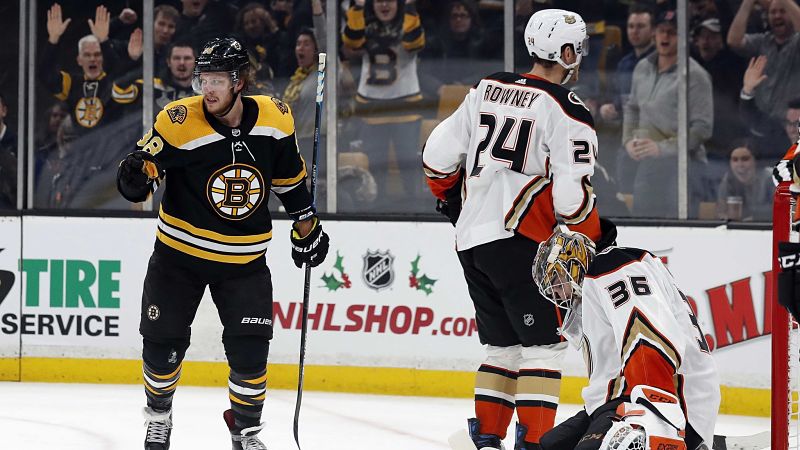 Boston Bruins winger David Pastrnak