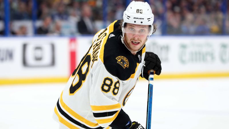 Boston Bruins Winger David Pastrnak