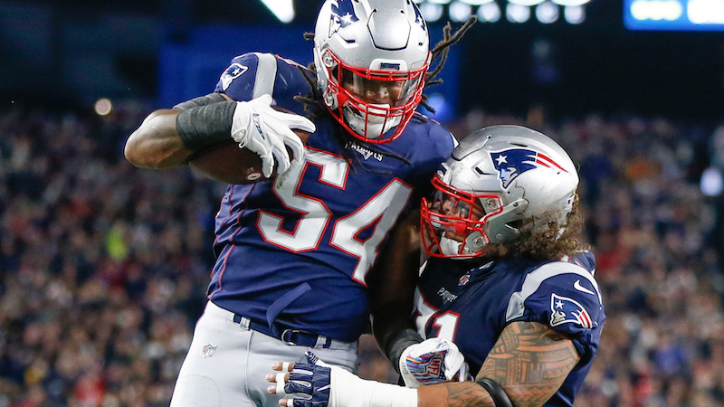 Patriots defensive tackle Danny Shelton