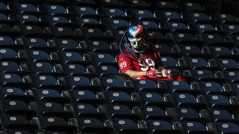 Houston Texans fan
