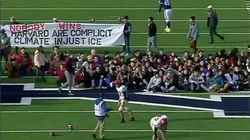 Harvard Yale football