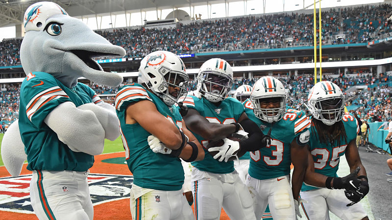 Miami Dolphins mascot