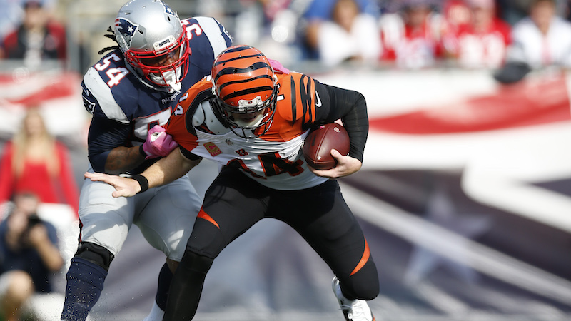 Patriots linebacker Dont'a Hightower, Bengals quarterback Andy Dalton