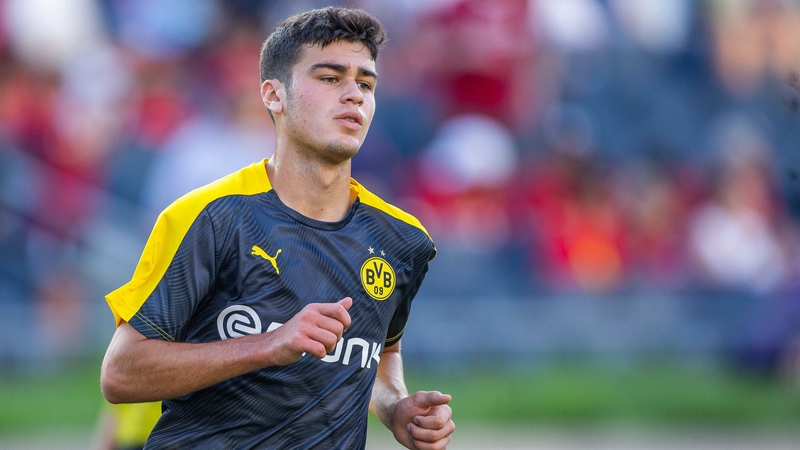 Dortmund midfielder Giovanni Reyna