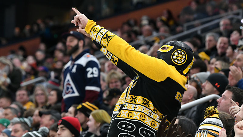 Boston Bruins fan