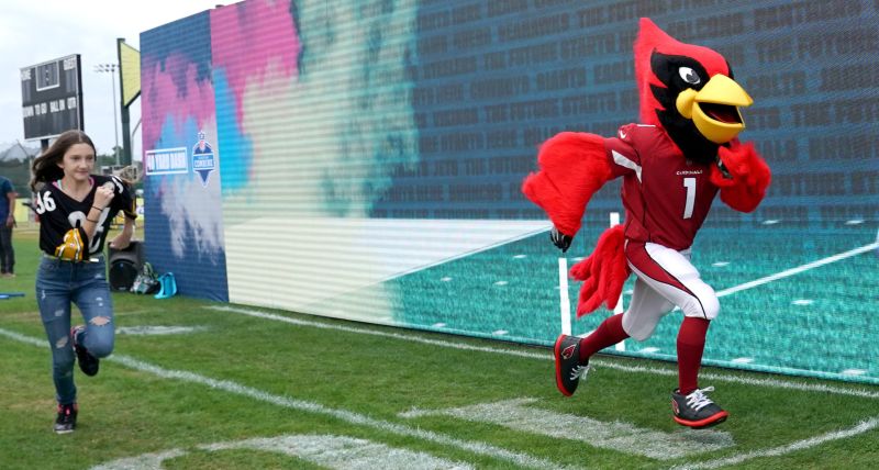 Arizona Cardinals mascot Big Red