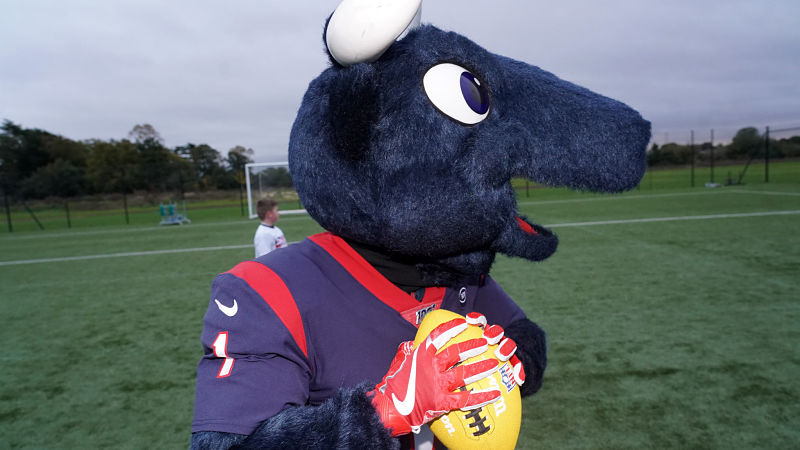 Houston Texans mascot