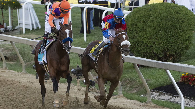 Robby Albarado and Swiss Skydiver