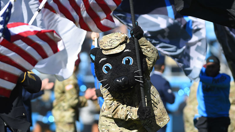 Carolina Panthers mascot