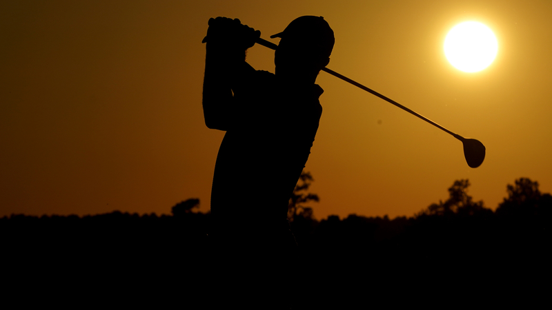 Professional Golfer Tiger Woods