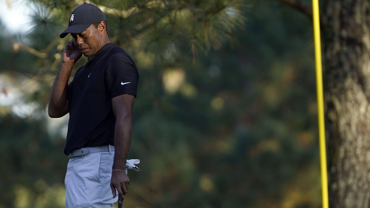 Pro golfer Tiger Woods