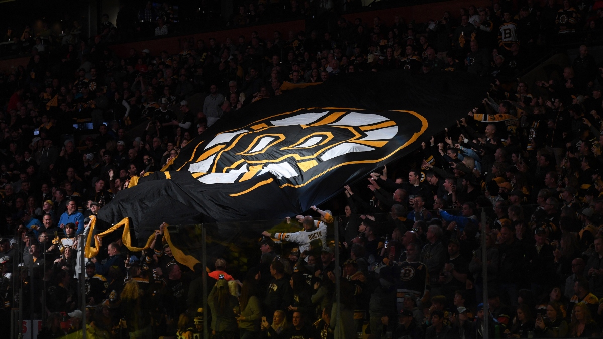 Boston Bruins banner