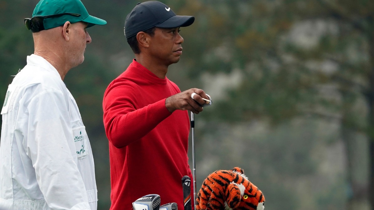 Pro golfer Tiger Woods