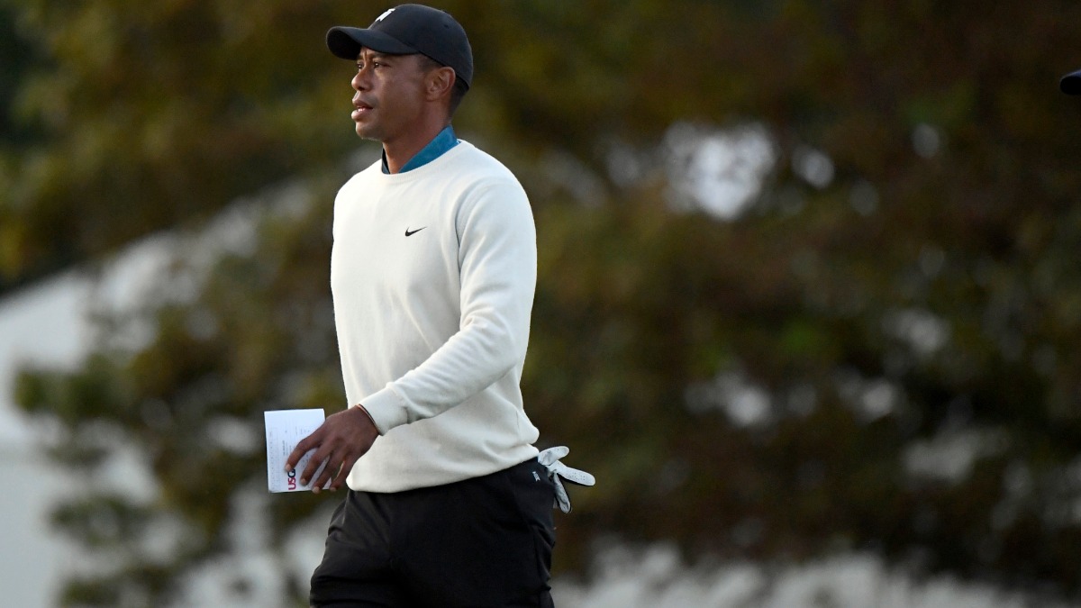 Pro golfer Tiger Woods