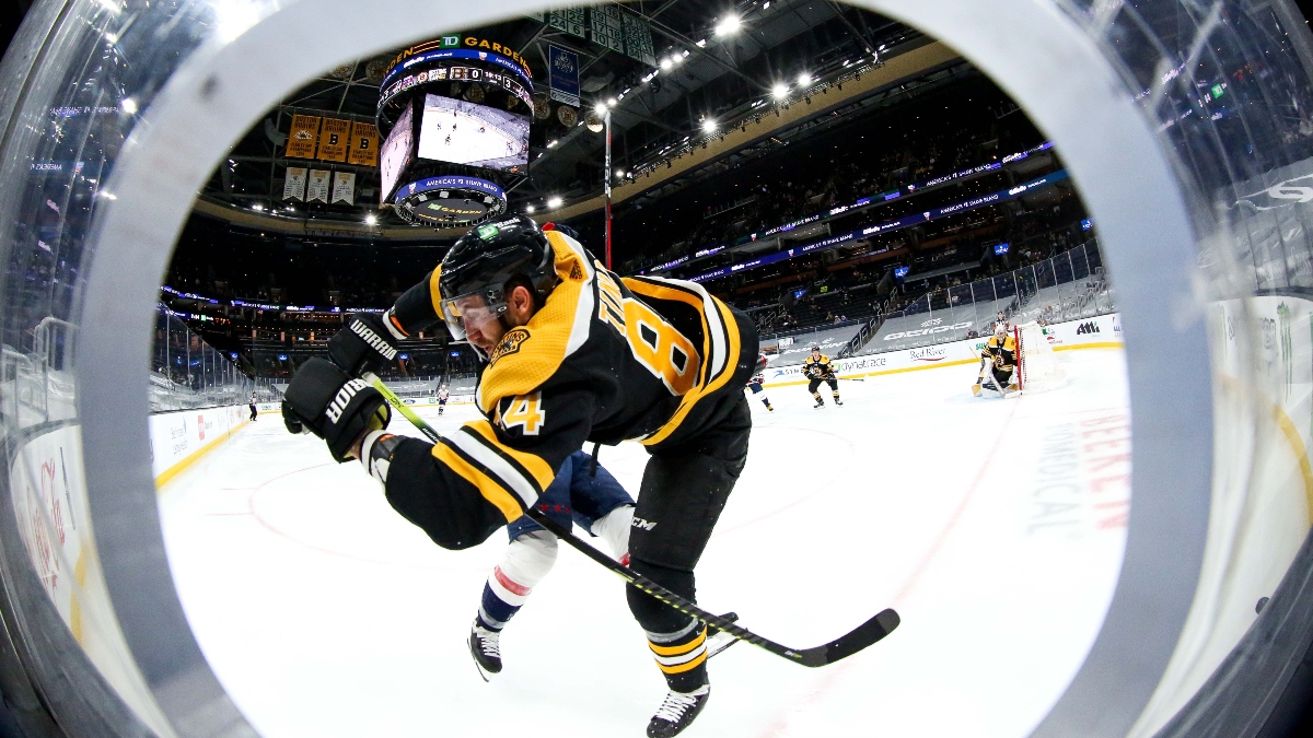Boston Bruins defenseman Jarred Tinordi (84)