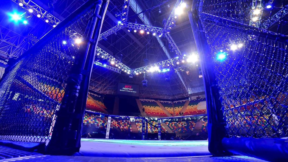 UFC octagon