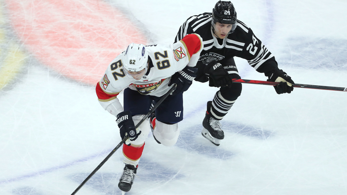 Florida Panthers defenseman Brandon Montour, Chicago Blackhawks center Pius Suter