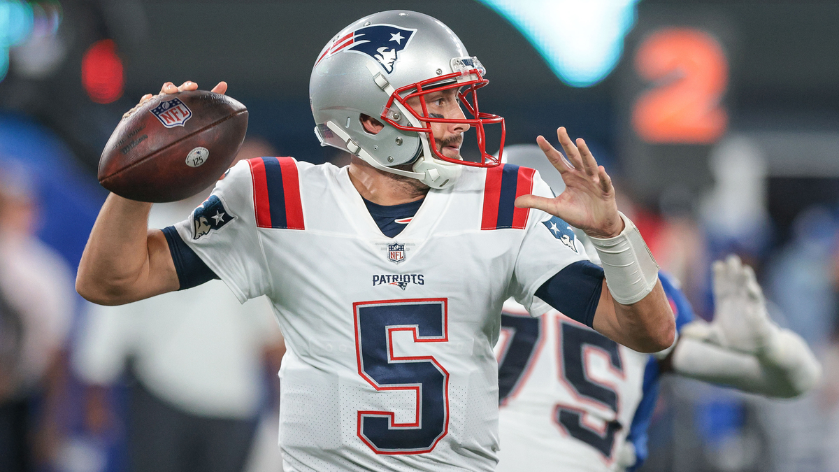 New England Patriots quarterback Brian Hoyer