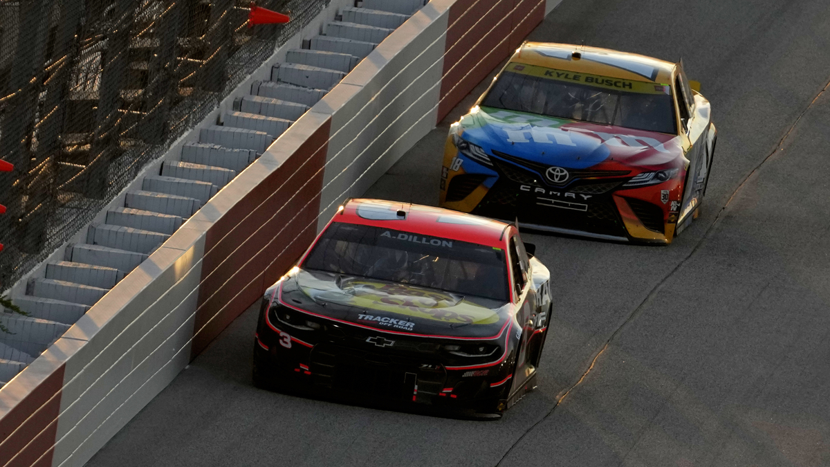 NASCAR drivers Kyle Busch, Austin Dillon