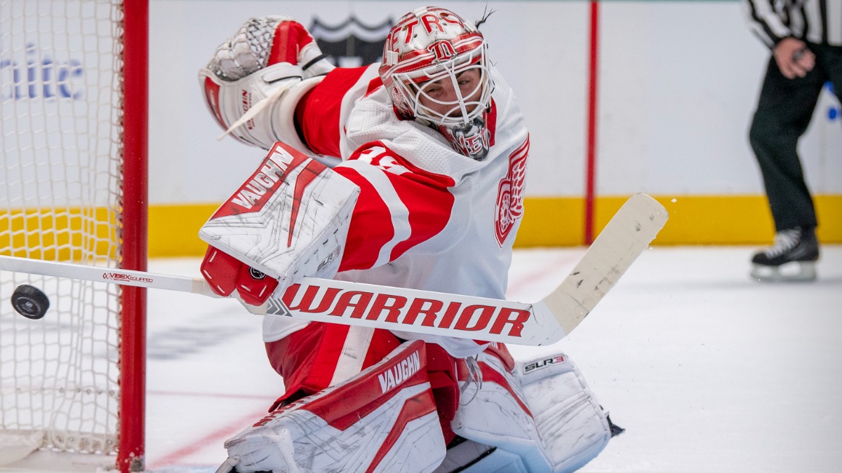 Detroit Red Wings goalie Alex Nedeljkovic