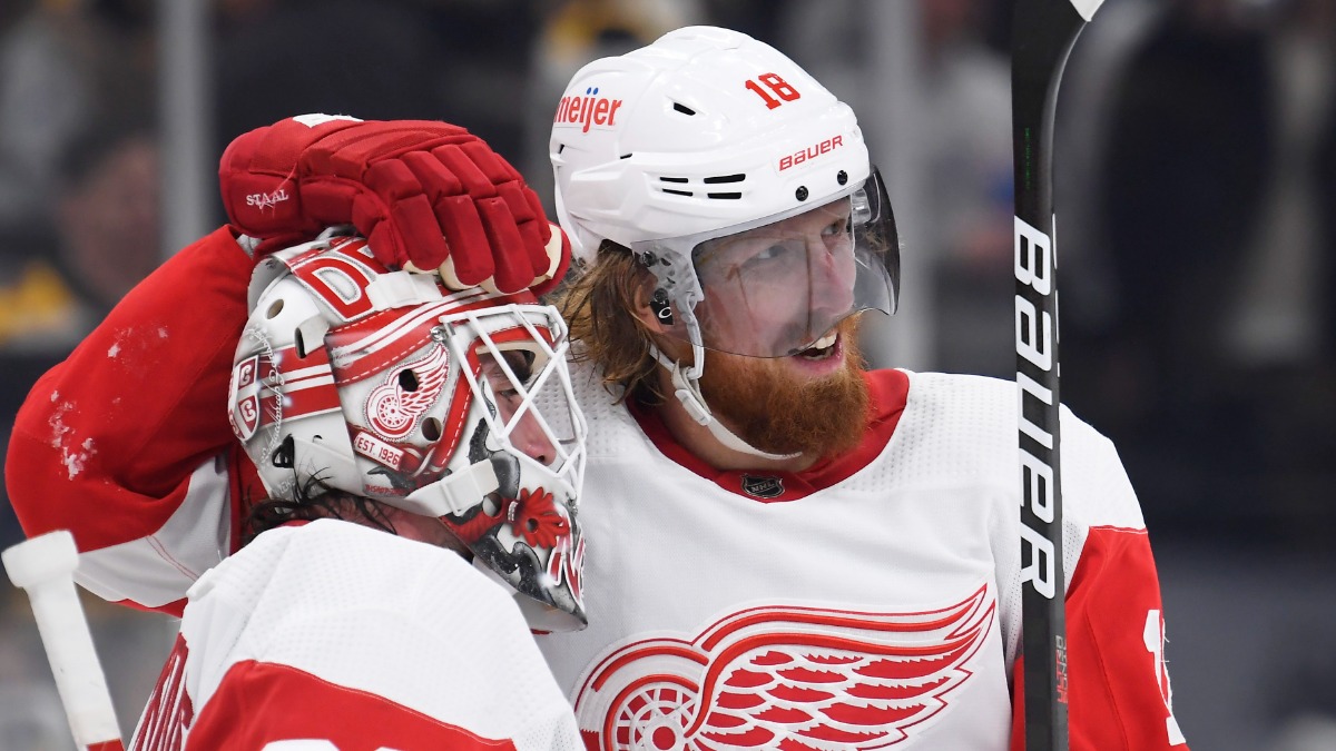 Detroit Red Wings defenseman Marc Staal