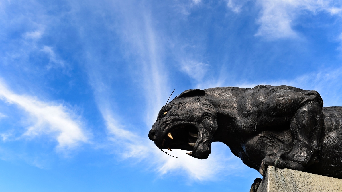 Patriots vs. Panthers