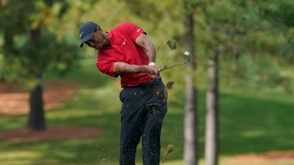 Professional golfer Tiger Woods