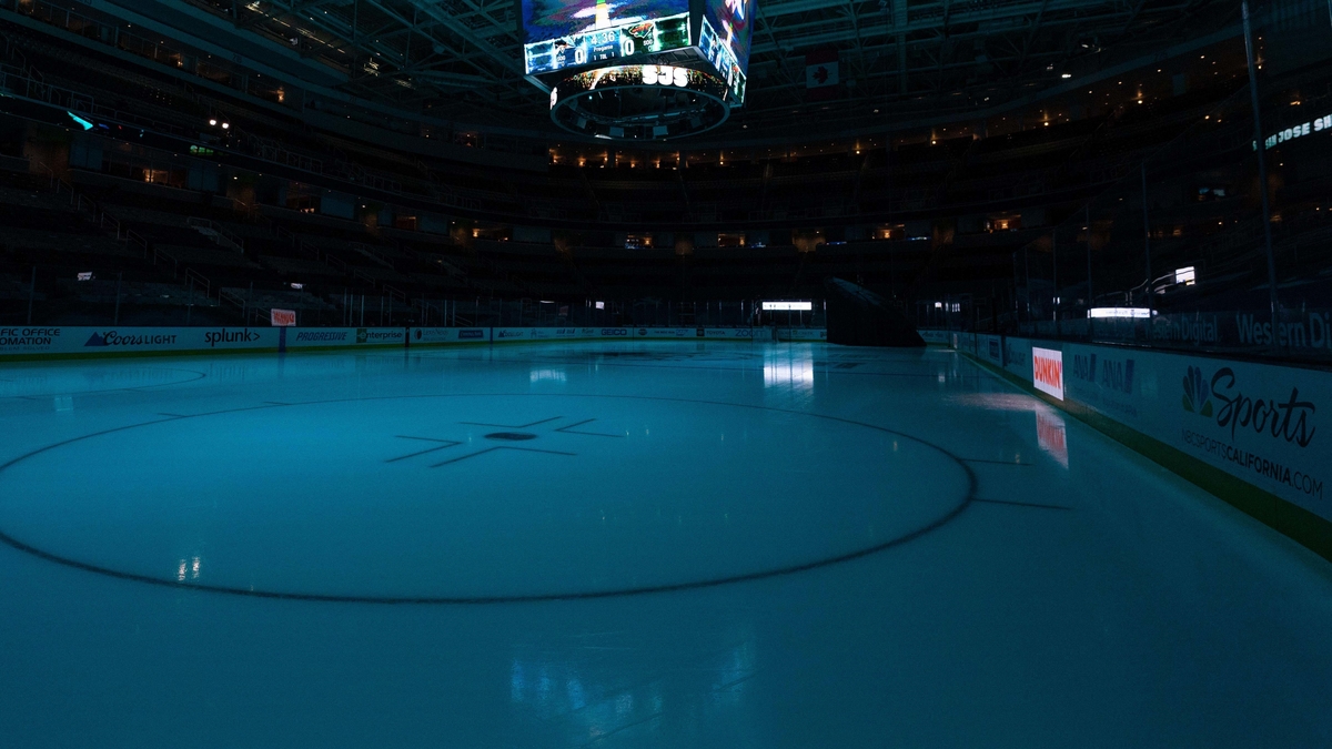 NHL Rink
