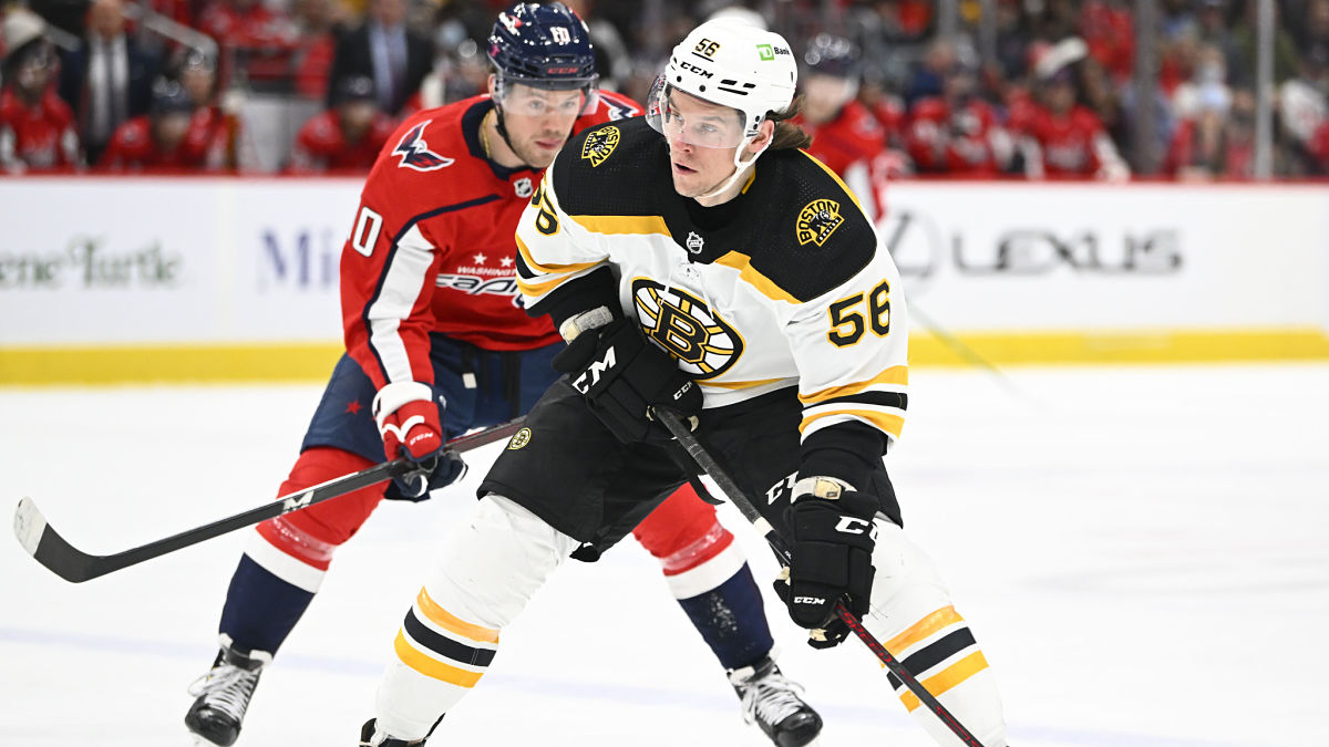 Boston Bruins left wing Erik Haula