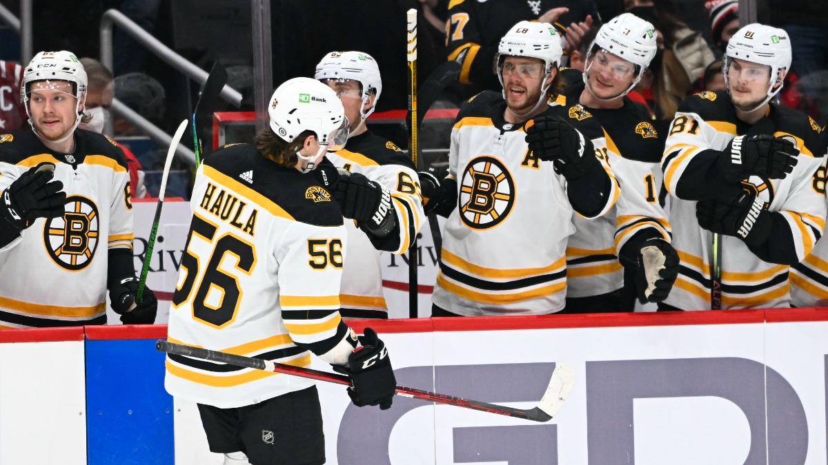 Boston Bruins center Erik Haula