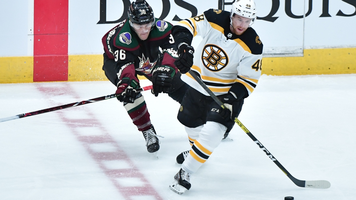 rizona Coyotes right wing Christian Fischer (36) and Boston Bruins defenseman Matt Grzelcyk (48)