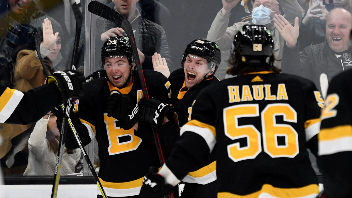 Boston Bruins forward Erik Haula