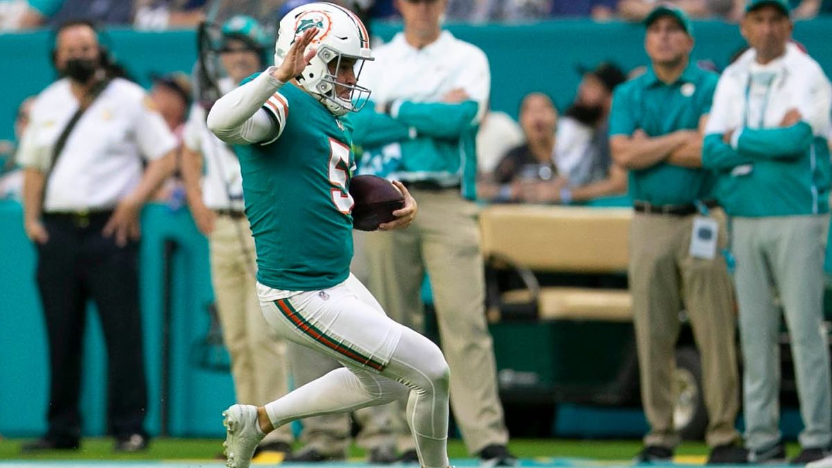 Miami Dolphins punter Michael Palardy