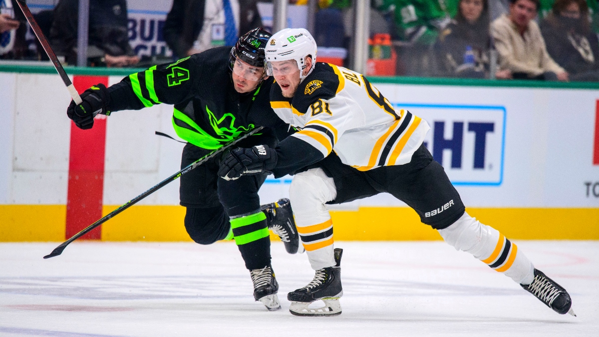 Dallas Stars defenseman Joel Hanley (44) and Boston Bruins left wing Anton Blidh (81)
