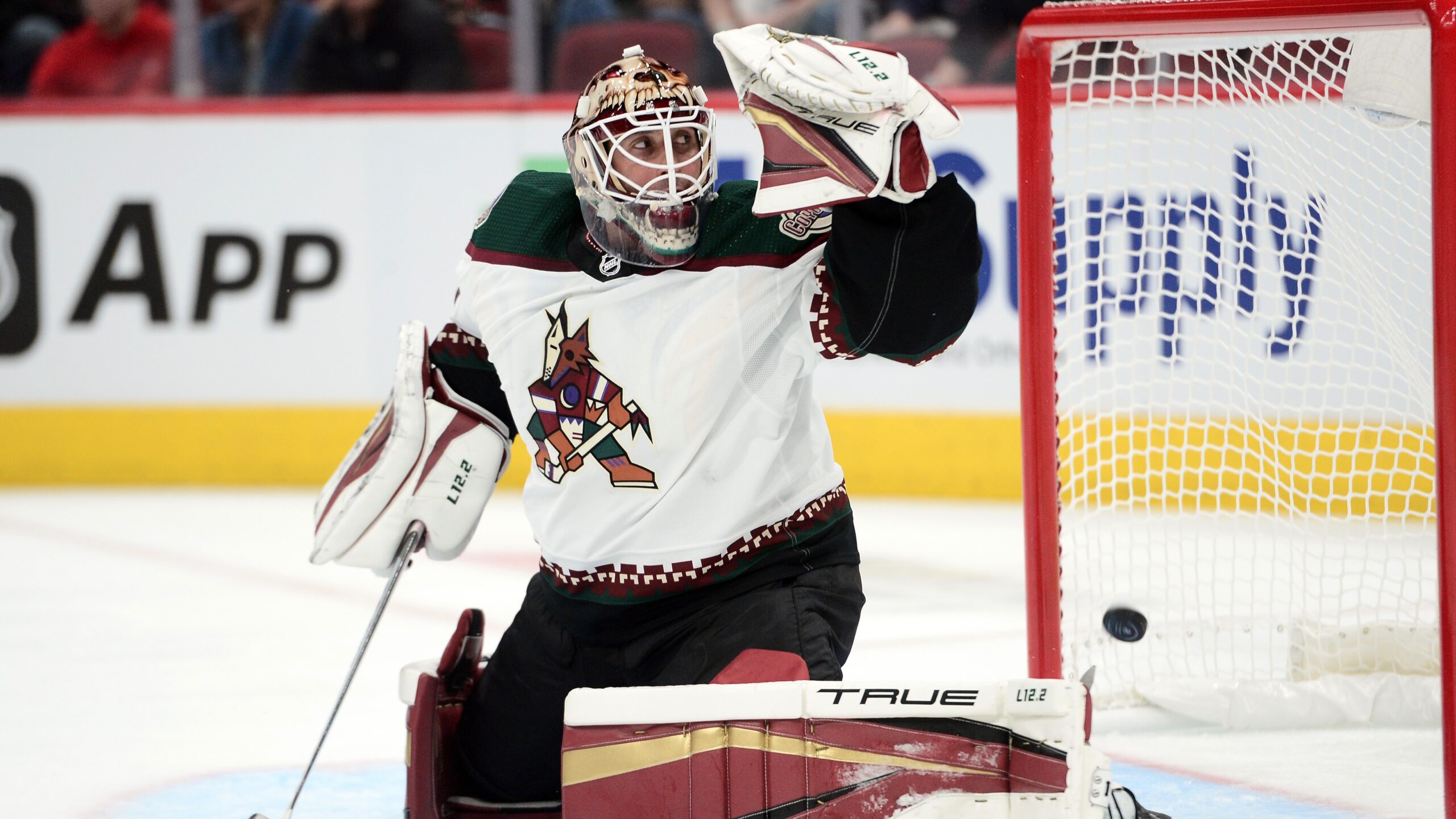 NHL: St. Louis Blues at Arizona Coyotes