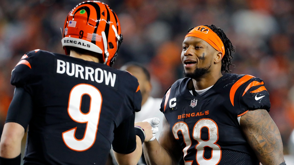 Cincinnati Bengals quarterback Joe Burrow, running back Joe Mixon