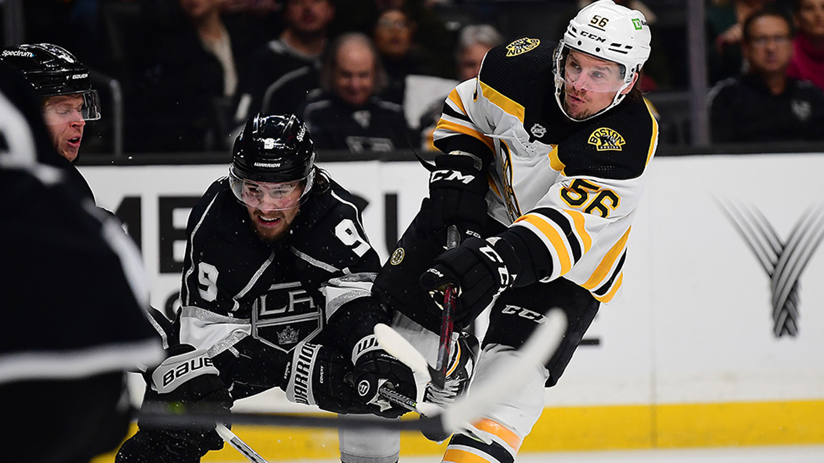 Boston Bruins left wing Erik Haula